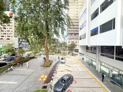 Far East Shopping Centre (D9), Shop House #556333361
